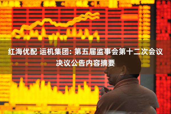 红海优配 运机集团: 第五届监事会第十二次会议决议公告内容摘要