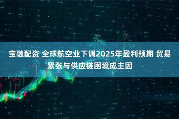宝融配资 全球航空业下调2025年盈利预期 贸易紧张与供应链困境成主因