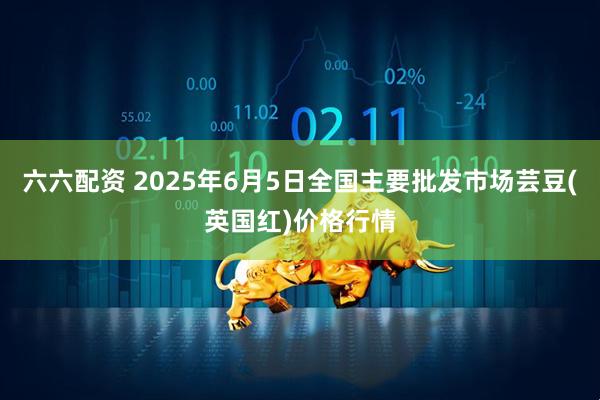 六六配资 2025年6月5日全国主要批发市场芸豆(英国红)价格行情