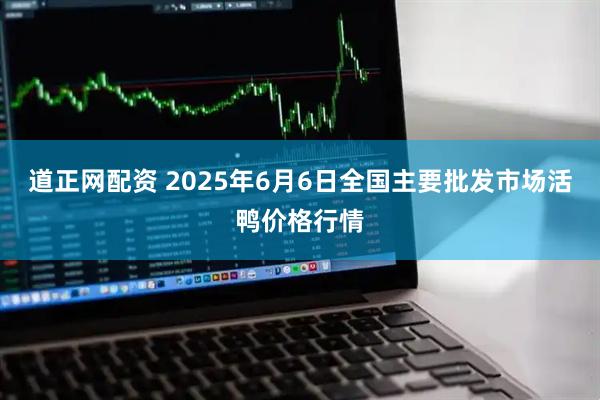 道正网配资 2025年6月6日全国主要批发市场活鸭价格行情