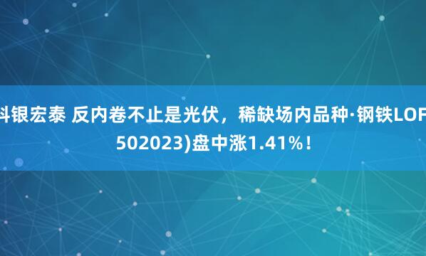 科银宏泰 反内卷不止是光伏，稀缺场内品种·钢铁LOF(502023)盘中涨1.41%！