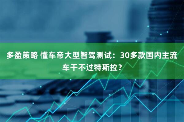 多盈策略 懂车帝大型智驾测试：30多款国内主流车干不过特斯拉？