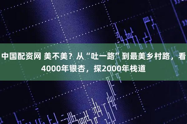 中国配资网 美不美？从“吐一路”到最美乡村路，看4000年银杏，探2000年栈道