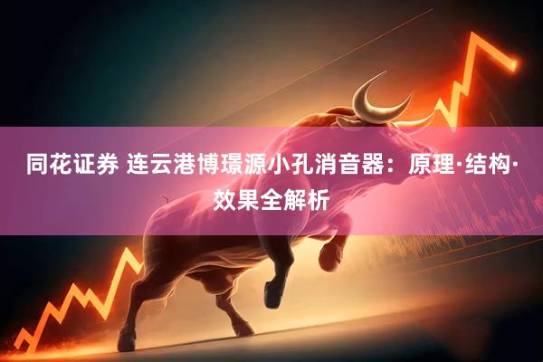 同花证券 连云港博璟源小孔消音器：原理·结构·效果全解析